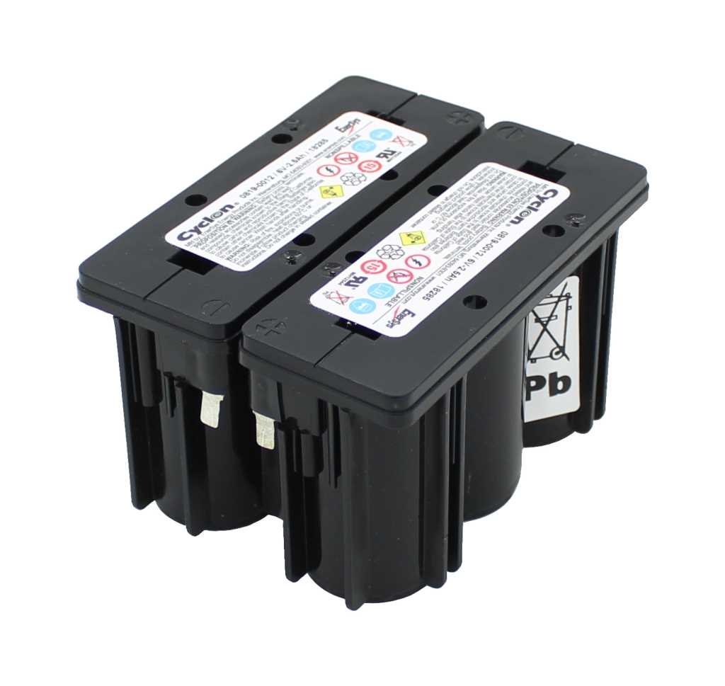 Zwei schwarze Akkublöcke mit Etiketten, nebeneinander verbunden, mit Flachsteckkontakten und Pb-Symbol an der Seite