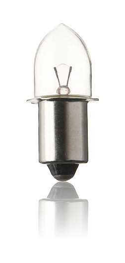 Kleine Glühbirne mit klarem Glaskolben und silbernem Metallsockel vor weißem Hintergrund mit Spiegelung