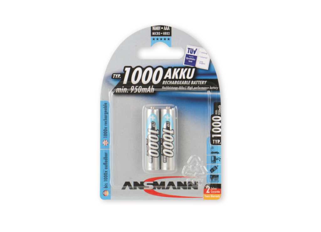 Blisterverpackung mit zwei AAA-Akkus in transparenter Kunststoffbox vor blau-grauem Hintergrund